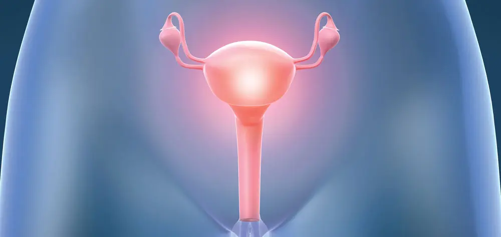 Hormones in Reproductive Health